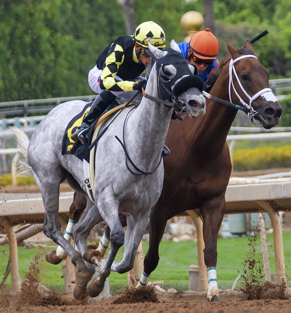 也对自己抱 也对自己抱